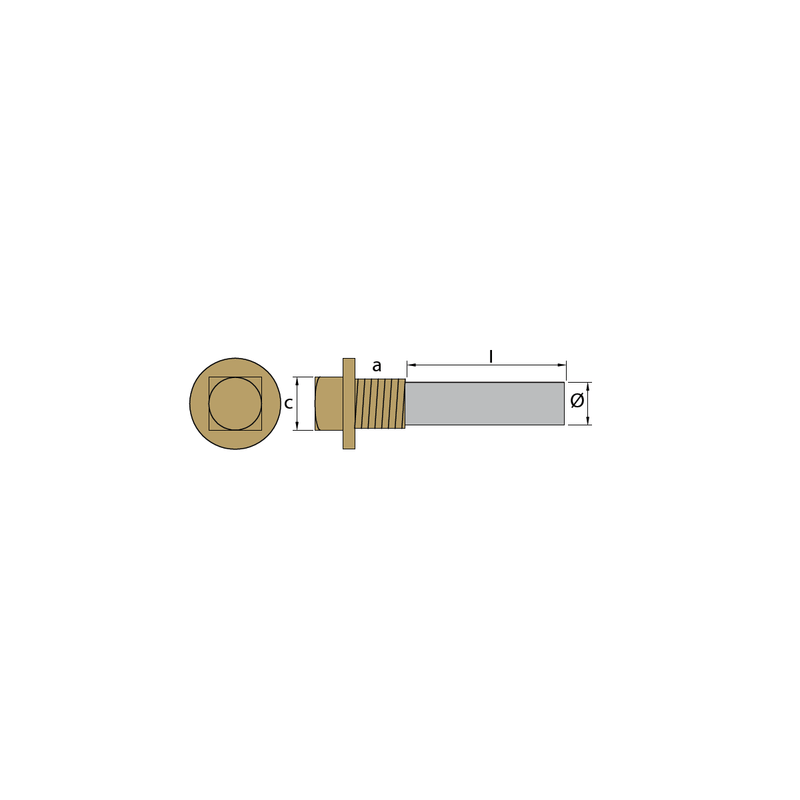 Anode en zinc Volvo Penta, type anode pencil Ø26 - L 40 - avec bouchon en laiton ép. GAZ 1 " (bspp), VP 823661